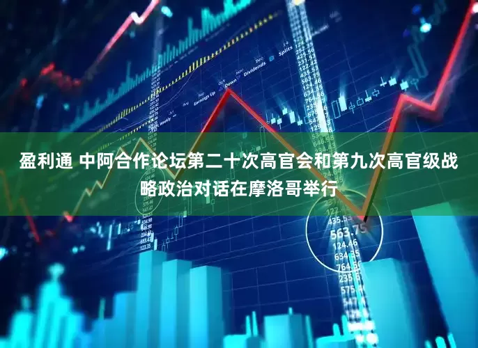盈利通 中阿合作论坛第二十次高官会和第九次高官级战略政治对话在摩洛哥举行