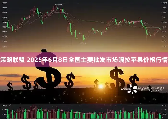 策略联盟 2025年6月8日全国主要批发市场嘎拉苹果价格行情