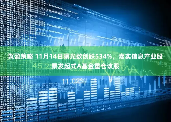 聚盈策略 11月14日曙光数创跌534%，嘉实信息产业股票发起式A基金重仓该股